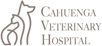 We now offer a new program called free vaccines for life, along with annual exams, vaccinations, dental cleaning, spay and neuter surgeries and boarding all in one convenient place and all at affordable prices. Cahuenga Veterinary Hospital Cahuenga Veterinary Hospital