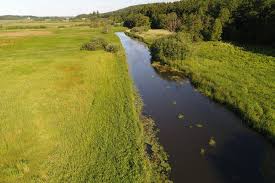 Strødam Naturreservat