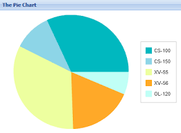 Techno Paper Working With Extjs Pie Charts