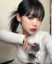 Francis Li (francisw512jn)