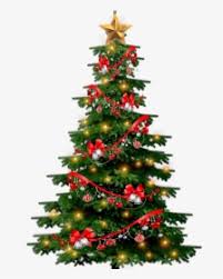 A christmas tree is a decorated tree, usually an evergreen conifer such as spruce, pine, or fir or an artificial tree of similar appearance, associated with the celebration of christmas. Christmas Tree Png Images Free Transparent Christmas Tree Download Kindpng