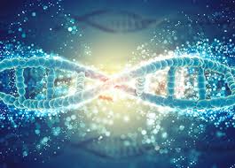 Au niveau des intestins, du pancréas et des bronches. Mucoviscidose Definition De La Mucoviscidose Symptomes Et Traitements