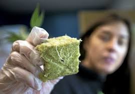 Oakland loses legal battle over major medical pot dispensary