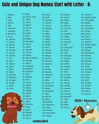As you go through this list, you might want to make a top ten list yourself! Dog Names That Start With B For Girl And Boy Dog