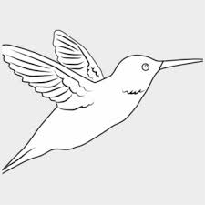 Find high quality hummingbird clip art black and white, all png clipart images with transparent backgroud can be download for free! Hummingbird Clipart Black Humming Bird Clip Art At Humming Bird In Black And White Cliparts Cartoons Jing Fm