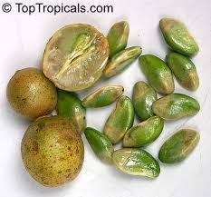 Image result for Clausena