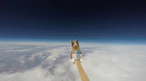 We have a lot of different topics like nature this collection presents the theme of space wallpapers. Seattle Girls Who Sent A Balloon To The Edge Of Space Are Heading To The White House Geekwire