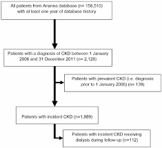 flow chart of ckd patients included in the study