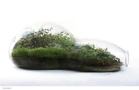 Terrarium By Artist Paula Hayes Diy Succulent Terrarium Succulents Diy Succulent Terrarium