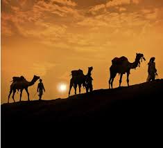 Tion stretched back millennia before domestication. Q A Does The Bible Misrepresent The Domestication Of Camels Today S New Reason To Believe