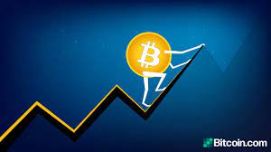 Bitcoin Hits 50k Jumps 200 In 3 Months Usd Shorts Touch A Decade High Markets And Prices Bitcoin News