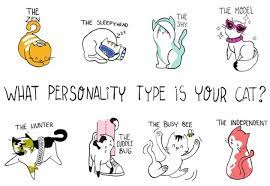 Cat Personality Types Cat Personalities Warrior Cats Name Generator Warrior Cat Names