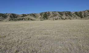 This mountain spire is one of the most recognizable summits in the absaroka mountains. Ecological Site Ex043b23a122