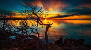 Free download collection of sunset wallpapers for your desktop and mobile. Nature Evening Sunset Wallpaper Nature Wallpaper Sunset 1920x1080 Download Hd Wallpaper Wallpapertip