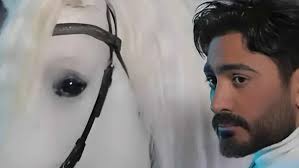 Laila Abdel Latif's predictions have begun to come true, so what's next?