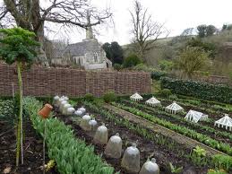 Pin On Potager