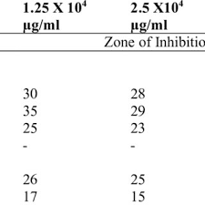 Image result for Lannea humilis