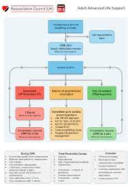 Thoracotomy decisions in the ed. Http Www Oxfordhealthformulary Nhs Uk Docs Cardiac 20arrest 20medicines 20box 20 Blue 20 20quick 20reference 20guide Pdf Uid 302489573201741095935