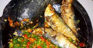 We did not find results for: 52 Resep Sambal Terancam Enak Dan Sederhana Ala Rumahan Cookpad