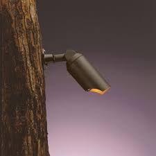 Kichler Adjustable Low Voltage Tree Light 15087azt Destination Lighting