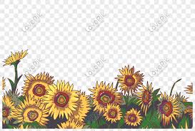 74 bunga matahari clipart gratis. Bunga Matahari Png