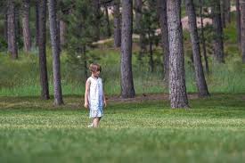 Semut hitam yang besar pun muncul ke permukaan, bergelantung di salur. Usai Berjasa Jadikan Ganja Sebagai Obat Gadis Ini Tewas Diduga Karena Corona Halaman All Kompas Com