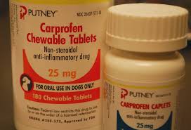 I have heard horror stories about the use of nsaids in dogs. Carprofen American College Of Veterinary Pharmacists