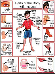 And so we are formed into one body. Body Parts Tamil Udal Uruppugal Parts Of The Body For Kids In Tamil The Upper Region Of The Body Includes Everything Above The Neck Haen5b Images