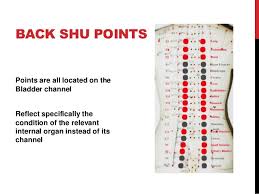 Back Shu Points Chart Related Keywords Suggestions Back