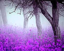 21 Free Flower Wallpapers To Brighten Your Day Flower Desktop Wallpaper Purple Flowers Wallpaper Free Flower Wallpaper