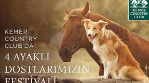 Kemer Country Kopek Ve Pony Festivali Cicicee