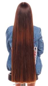 pin von yosef salem auf golden brown copper hair lange haare schone haare rote haare