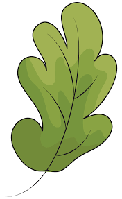 Oak Leaf Clipart Free Download Transparent Png Creazilla Clip Art Leaf Clipart Leaf Template