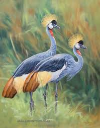 Birds Of South Africa Images Birds In South Africa Originals Birds Originals African Wildlife Scenes Of Southern Africa South African Birds South African Art African Wildlife