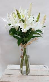 Show tv'nin yeni dizisi ramo'nun son bölümlerini sitemizden izleyin. Ramo De Lirios Blancos Bambu Floristas