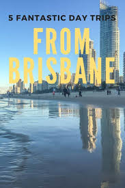 5 Fantastic Day Trips You Can Do From Brisbane Escapes Etc Day Trips Australia Travel Guide Australia Travel