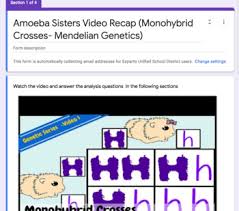 Handouts created by the amoeba sisters that correspond to amoeba sisters videos. Punnett Square Monohybrid Cross Worksheets Teaching Resources Tpt