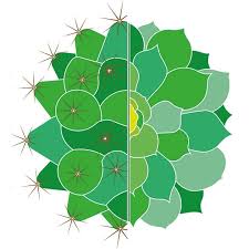 The folklore, enchantment, and evolution of the cactus & succulent hobby from 1889 to the present day presented by gunnar eisel. Cactus And Succulent Society Of America Home Facebook