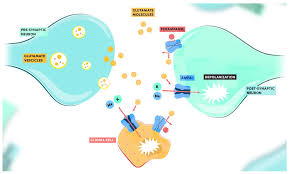 Image result for Perampanel