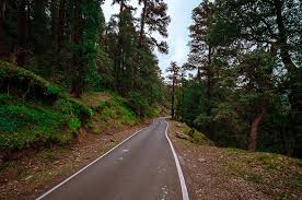 chopta tour package from delhi 