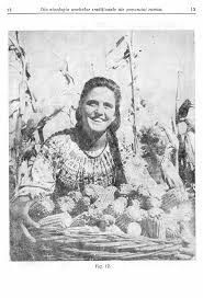 biblioteca-digitala.ro