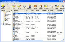 Internet download manager latest version: How To Use Internet Download Manager Idm Main Window Customization