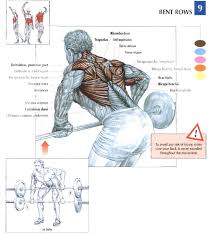 Start with 5 to 10 minutes of moderate cardio to get your blood pumping and start to awaken your muscles. Training Lower Back Muscles Off 70
