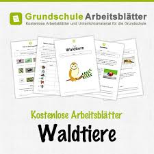 Kostenlose Arbeitsblatter Und Unterrichtsmaterial Fur Den Sachunterricht Zum Thema Waldtiere In Wald Grundschule Unterrichtsmaterial Sachunterricht Grundschule