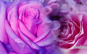 Find the best hd desktop computer backgrounds, mac wallpapers, android lock screen or iphone screensavers and many other favorite images in 2021 62 Cool Pink