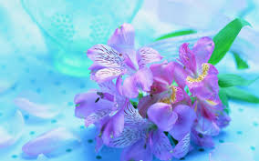 Check spelling or type a new query. Blue And Purple Flowers Background 1920x1080 Wallpaper Teahub Io