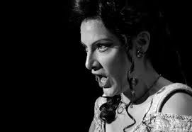 Amy Wolf Media — Amy Wolf