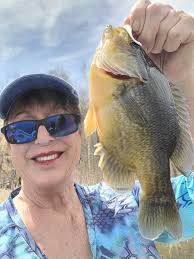 What are the ice conditions