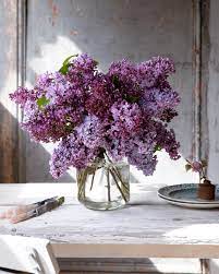 Janne On Instagram Not Quite Finished With The Lilac Here I Ve Had This Vase Full For Five Days Now So Just Thought Lilac Flowers Lilac Floral Photography