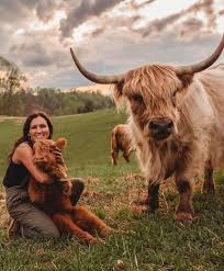 Happy Hens & Highlands Farm LLC